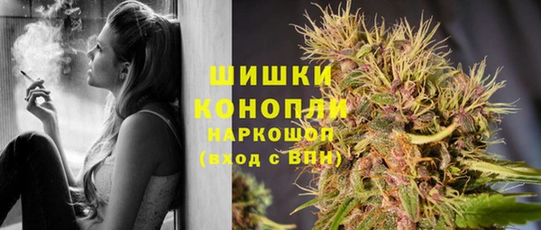 гидропоника Болохово