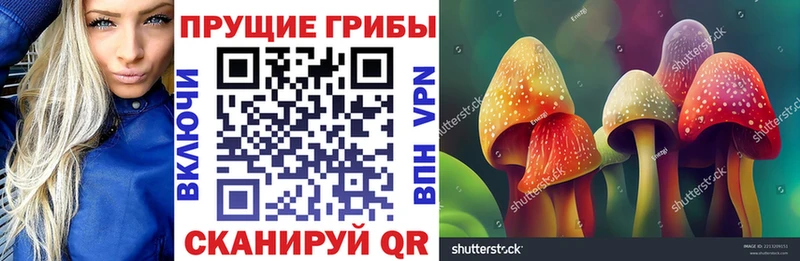 Галлюциногенные грибы Psilocybine cubensis  как найти наркотики  Богучар 